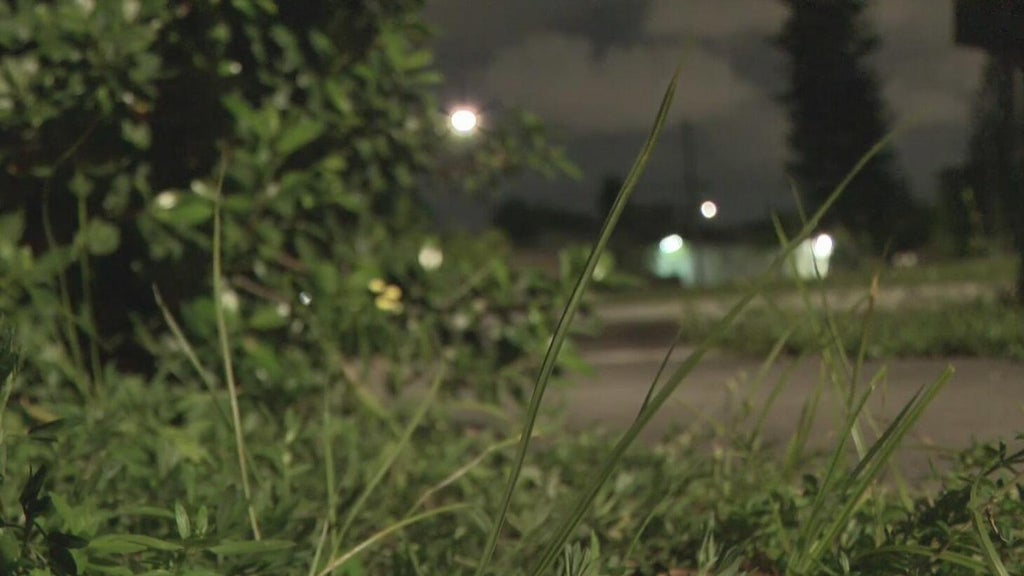 Broward mother says she went months without update after reporting man outside her window — CBS Miami, Hong Kong Real Estate news