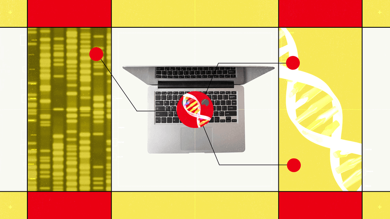Hugging Face’s New AI Biology Model Lets You Chat With DNA — Wired, Hong Kong Technology news