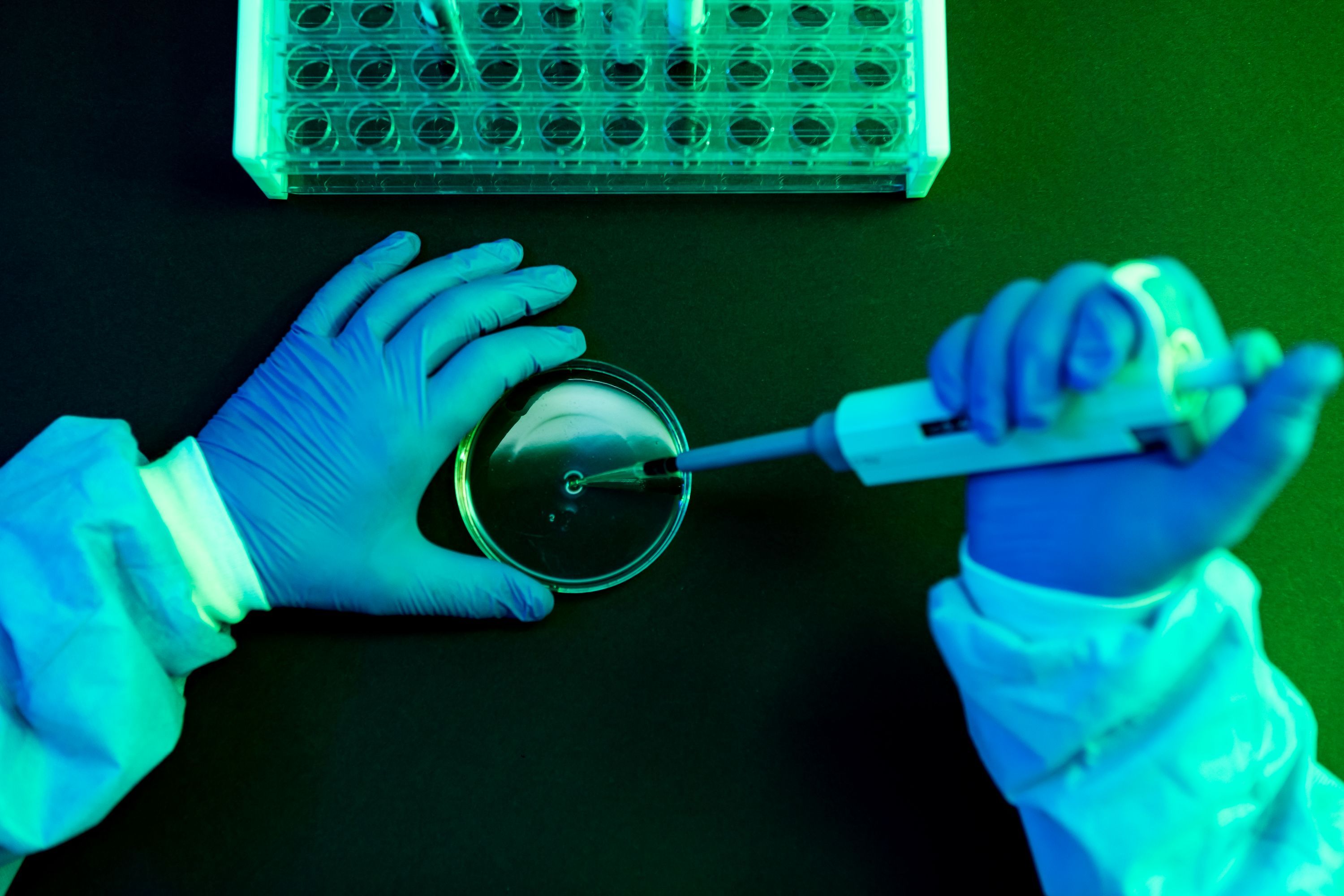 What to Know About Shamonda Virus Following the First Reported Human Infection — Wired, Hong Kong Technology news